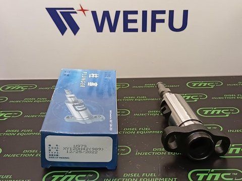 Плунжерна пара 2418425989 (U979 - XY120H42) WEIFU MAN 2418425989 U979 Weifu фото