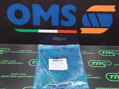 Шток (плунжер) форсунки DENSO CR 11-31-003 OMS Mitsubishi PAJERO MONTERO 11-31-003 фото