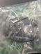 Набір з 6 рожкових 6-гранних ключів для разбирання форсунок CR AZ0501-CR SIRINI AZ0501-CR фото 9