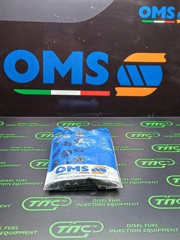 Гвинт кріплення форсунки VW-VDO-BOSCH 11-23-982 OMS M6X88 11-23-982 фото