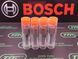 Розпилювач дизельної форсунки DSLA 145 P 975 (0433175276) 2437010120 BOSCH DEUTZ MA, Marrua. Nissan Frontier, DSLA145P975 Bosch фото 1