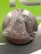 Шайба кулачкова 146220-0120 ZEXEL 4/8F NISSAN CD17 (Насос 104648-2620) (аналог BOSCH 9 461 610 120) 146220-0120 Zexel фото 2